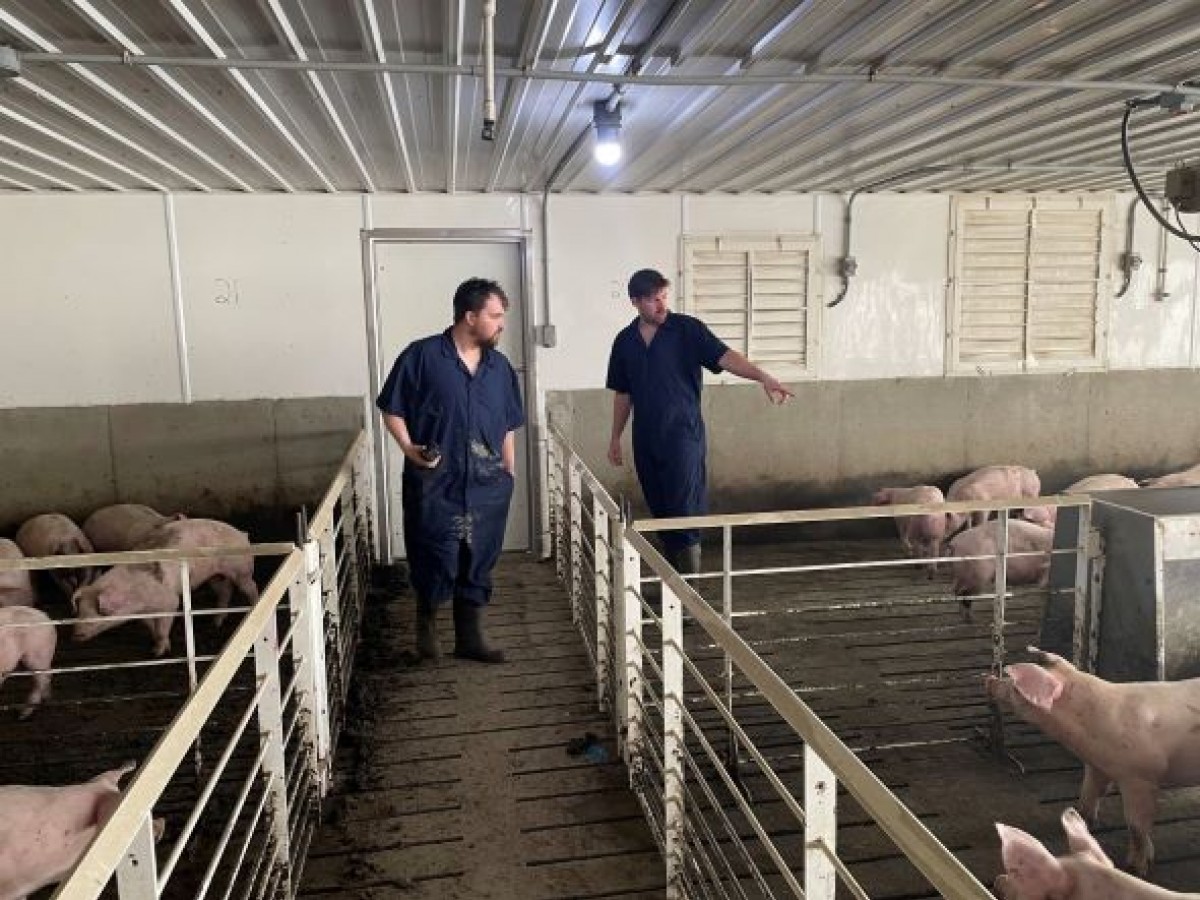 Winnipeg’s FeedFlo uses tech to solve a major ag problem for livestock